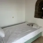 Andros Escape Korthio